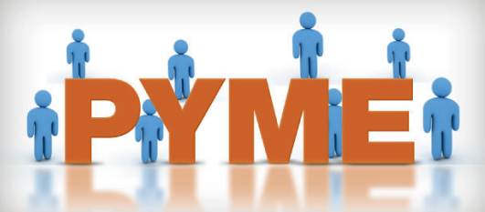 Lee más sobre el artículo Programa Capacitación PyME