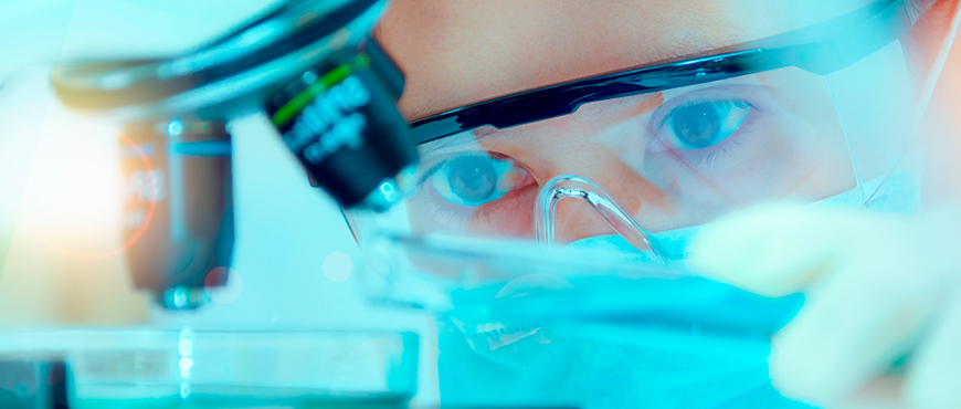 Lee más sobre el artículo Inversiones y ampliación de las exportaciones en empresas de biotecnología